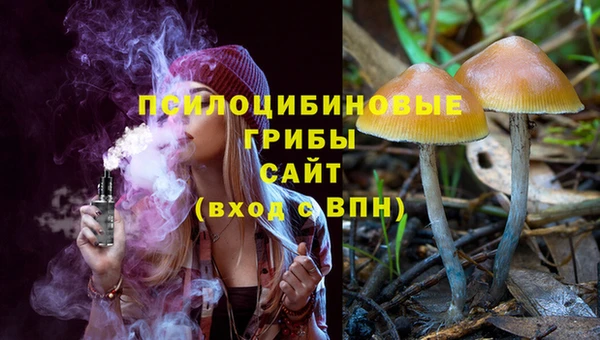 гашик Балахна