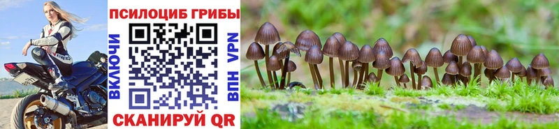 Галлюциногенные грибы Magic Shrooms маркетплейс какой сайт Каневская