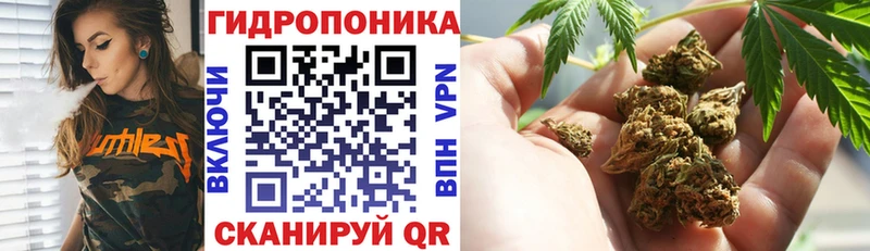 купить Каневская ссылка на мегу маркетплейс Канабис LSD WEED